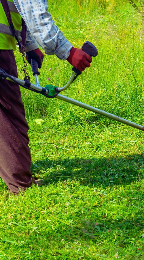Couper le gazon avec des professionnels