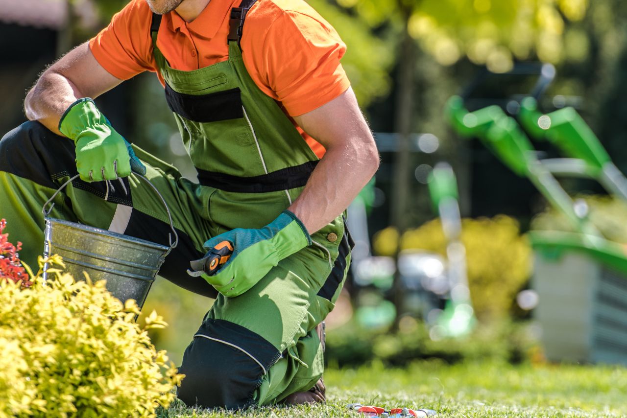 Ouverture fermeture de terrain par groupe delsol