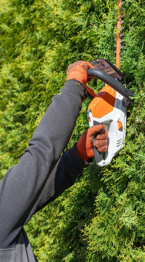 Taille des haies par des pros